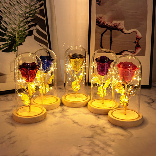 Valentinstag Geschenk für Freundin Ewige Rose Blumen LED Licht in Glas Abdeckung Tag Hochzeit Dekoration Gefälligkeiten Muttertag Weibliches Geschenk Geschenk