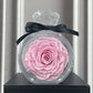 Natürliche ewige Blumenornamente Transparente Abdeckung Getrocknete Rose Geschenkbox für Weihnachten Neujahr Valentinstag Wohnkultur