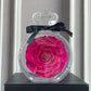 Natürliche ewige Blumenornamente Transparente Abdeckung Getrocknete Rose Geschenkbox für Weihnachten Neujahr Valentinstag Wohnkultur