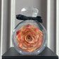 Natürliche ewige Blumenornamente Transparente Abdeckung Getrocknete Rose Geschenkbox für Weihnachten Neujahr Valentinstag Wohnkultur
